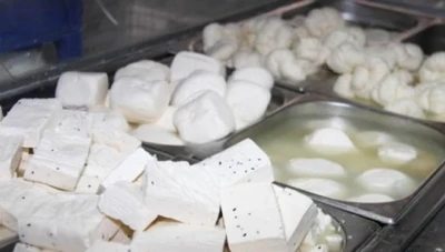 ضبط معمل أجبان يعيد إنتاج الأجبان الفـاسدة والمتـعفنة!