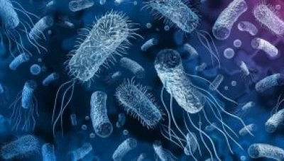 تحذيـرات من انـتشار محتمل لوبـاء الكـولـيرا حول العالم