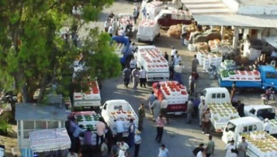 محافظة دمشق تخصـص ألف دونـم لإنشاء سـوق هـال جديد قرب جسر بغداد