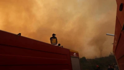 خطوط نار لحماية الغابات في اللاذقية.. خطة واسعة لمواجهة حرائق الصيف