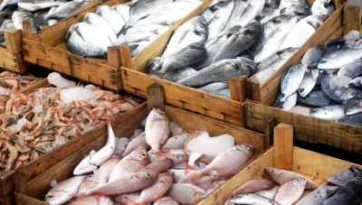 أسعار الأسماك في الاسواق السورية