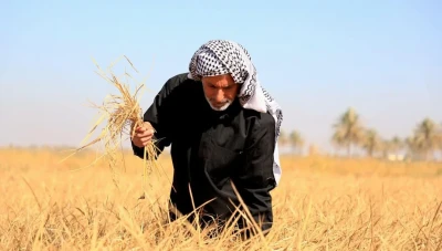 تخفيض عدد موظفي وزارة الزراعة السورية بنسبة 30-40% وعودة النظر في الاتفاقيات المائية