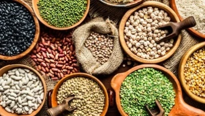 ارتـفاع حـ.ـاد في أسعار البقـوليات في سوريا بسـبب نـقـص الدعـم الزراعي وترا.جع دور المؤسسة السورية للتجارة