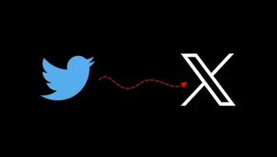 إيلون ماكس ينشر على حسابه في منصته x فيديو لمظاهرة مناصرة لأهالي غزة... فيديو