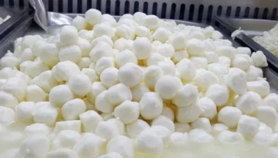 تراجع كبير في أسعار الألبان والأجبان بدمشق: انخفاض يصل إلى 50% مع تحسن العرض والأسعار