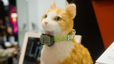 ابتكار جديد في عالم التكنولوجيا.. هاتف ذكي مخصص للتواصل مع الحيوانات الأليفة