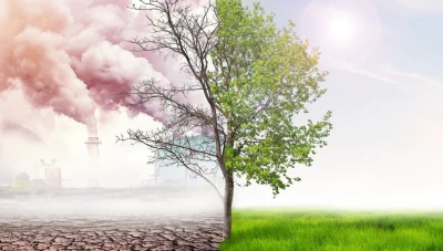 توقعات علماء المناخ لعام 2024