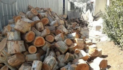 السماح باسـتيراد 10 آلاف طن من حطب التدفئة للحـد من التعـديات على الغـابات