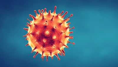 صحة النظام تكشف توزع الإصابات بكورونا في المحافظات