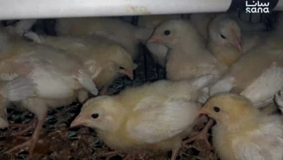 قرارات تنظّم الاستيراد خلال شهر آذار ورمضان