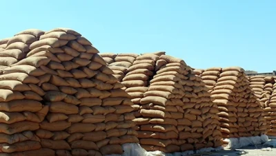 تجاوزات بالمليارات في فروع الحبوب خلال حقبة النظام البائد