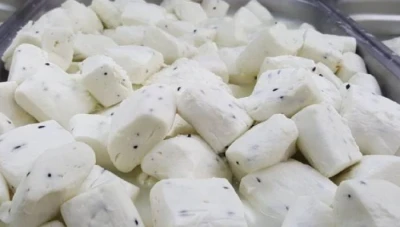 تفاقم ارتفاع أسعار الألبان والأجبان في سوريا