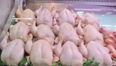 تحديد أقصى أسعار الفروج والبيض والشاورما بدءاً من 31 أغسطس 2024