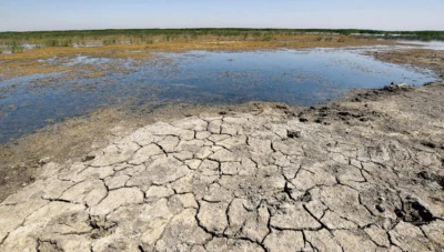 جفاف يهـ..ـدد الأمن الغذائي في سوريا وتحذيرات للقطاع الزراعي