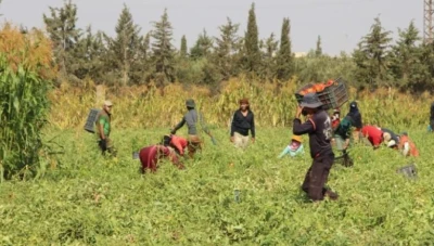 تعـميـم جـديد لدعـم الفـلاحـين في سوريا