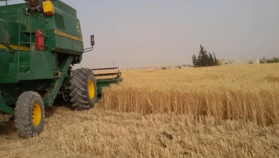 سوريا توقع اتفاقية لاستيراد 1.4 مليون طن من القمح مع روسيا