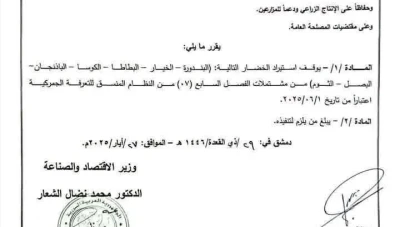 قرار بوقف استيراد 6 أنواع من الخضار دعماً للزراعة المحلية في سوريا