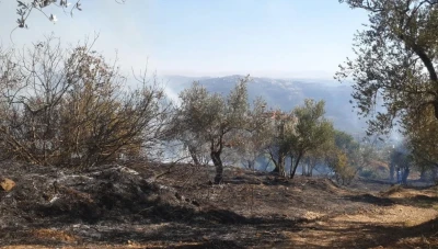 حرائق ضخمة تلتهم مساحات واسعة في ريف اللاذقية.. الدفاع المدني يواجه تحديات كبيرة وسط رياح عاتية!