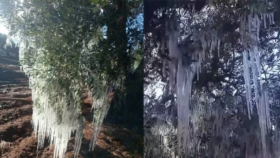 موجة صقيع تضرب سوريا وتحذيرات من تشكل الجليد على الطرقات