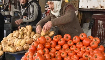 أسعار البندورة تشهد انخفاضاً في سوق الهال والبطاطا تتجه نحو التراجع قريباً