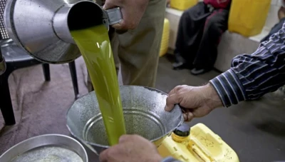 وزارة الزراعة: انخـفـاض متـوقع في أسـعار زيت الزيتون