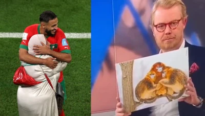 بالفيديو.. قناة دانماركية تشبه احتفالات لاعبي المنتخب المغربي بأمهاتهم بـ"بالقردة"