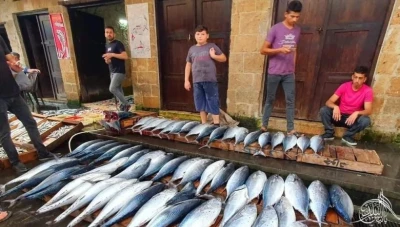 أسعار الأسماك الفـاخرة في سوريا تتجاوز المـليون ليرة للكيلوغرام