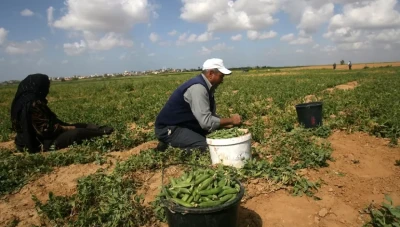 تحـذيرات من نتائج كـارثية في الزراعة السورية