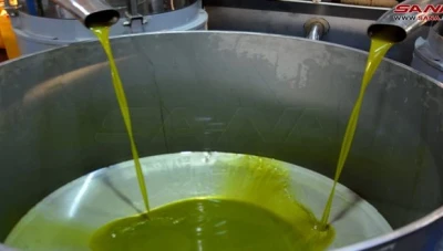 الشهابي ينـفي خروج زيت الزيتون السوري عن المعـايير الدولـية ويؤكد على جـودته العـالية