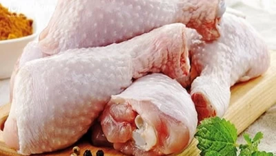 مدير منشأة الدواجن يوضح أسباب ارتفاع سعر الفروج