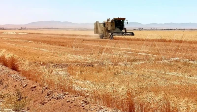 مدير الزراعة يبشر المواطنين بموسم الخيرات