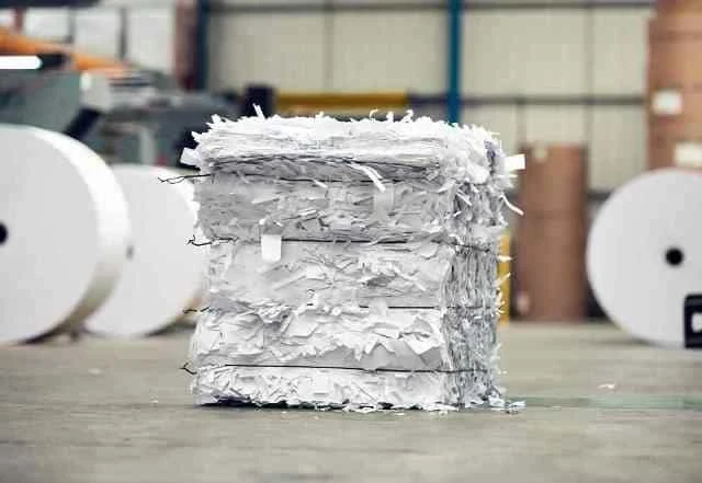 قرار حكومي مهم يدعم صناعة إعادة التصنيع للورق