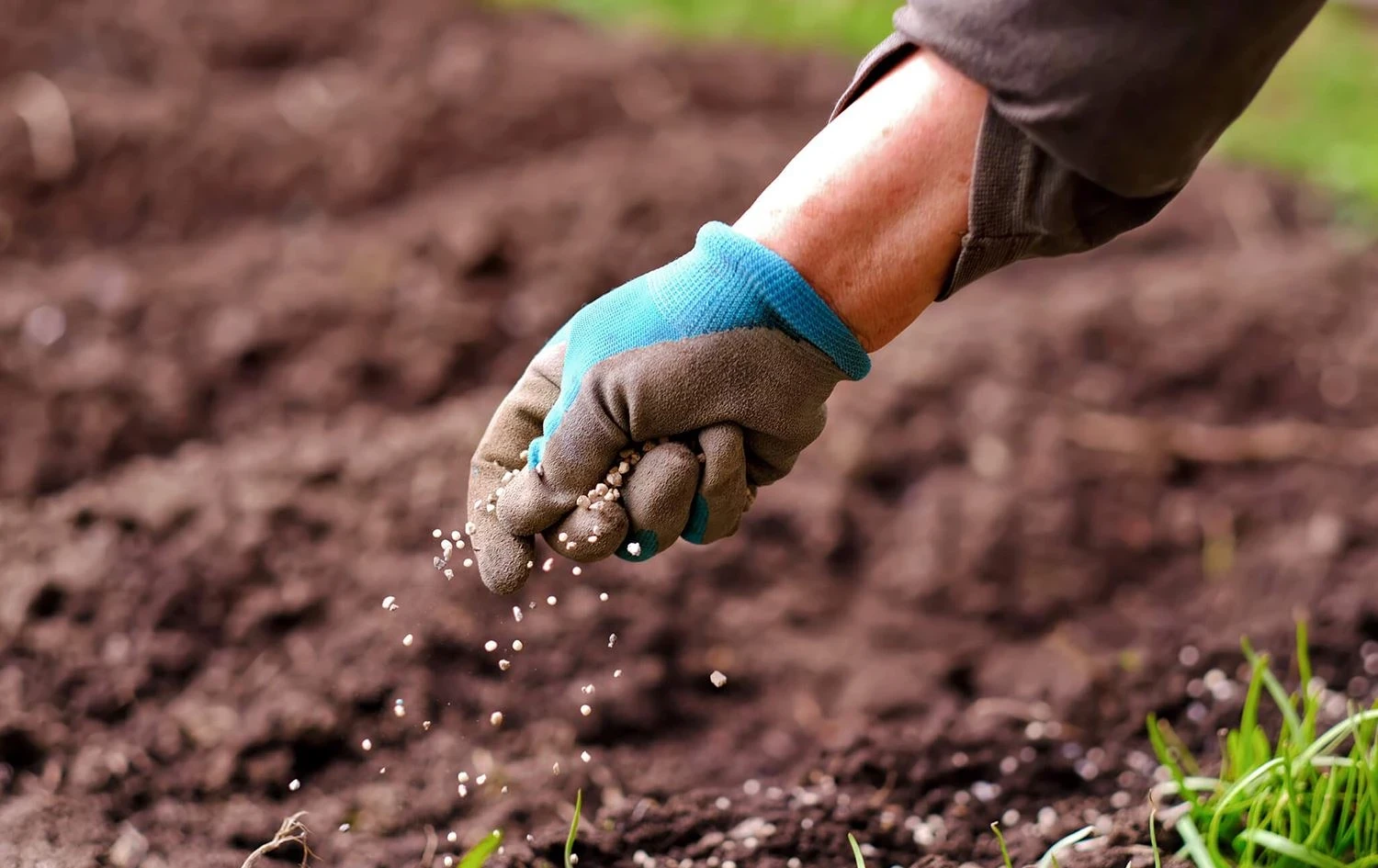 النظام السوري يـرفـع أسعار الأسـمدة وسط تبـاين الآراء حول مـبررات الزيـادة