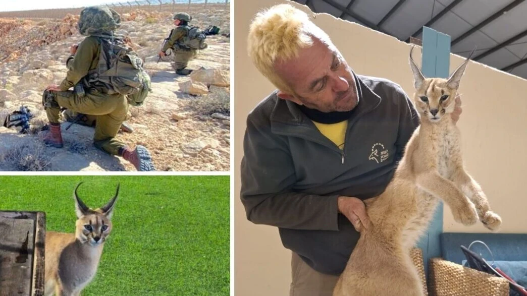 حيوان مفترس يهاجم جنودًا على الحدود… ما القصة الكاملة؟