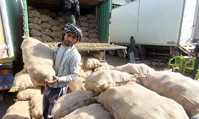 البطاطا المصرية تصل إلى سوريا