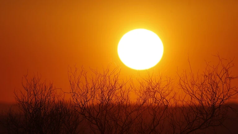 5 مدن عربية في دولة واحدة تسجل على التوالي أعلى درجات حرارة في العالم اليوم