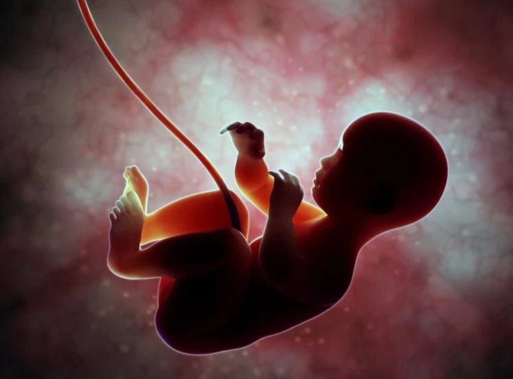 تقنية جديدة للكشف عن الأمراض الخلقية لدى الأجنّة