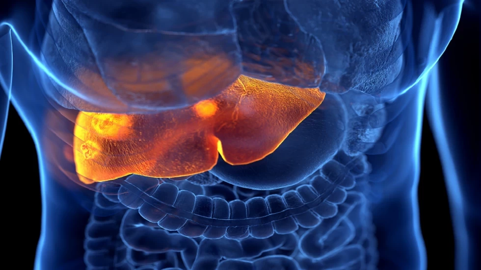 الكشف عن التهاب الكبد الغامض عند الأطفال!