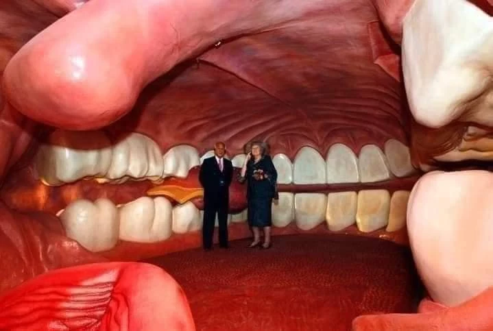 بالصور... متحف يتيح إليك الدخول لجسم الإنسان