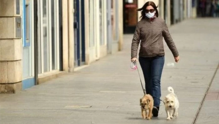 كيف تنتقل عدوى "كوفيد-19" من الحيوان إلى الإنسان؟