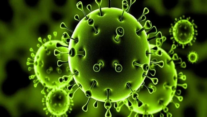 أخر أرقام وإحصاءات فيروس كورونا مع دخول شهر جديد