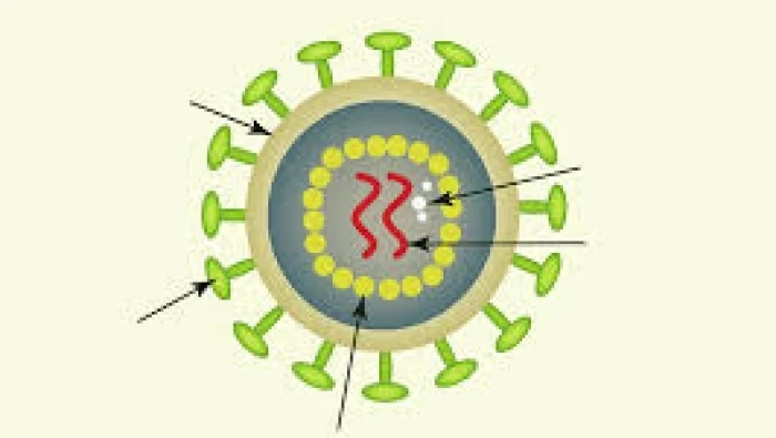 روسيا تستخدم فيروس فسيفساء التبغ لمكافحة كورونا.. وأول لقاح خلال 3 أشهر