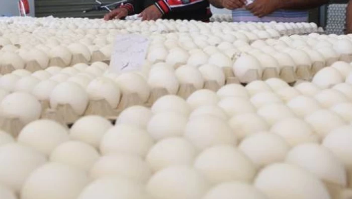البيض ينخفض سعره ويقترب من ال 4000