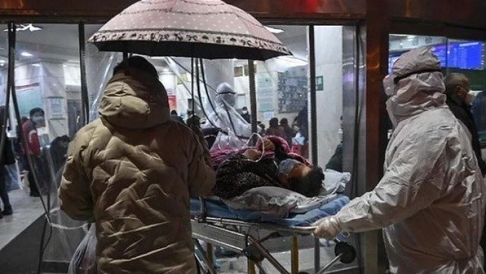 "لحم السلاحف" يساعد على الشفاء من الكورونا