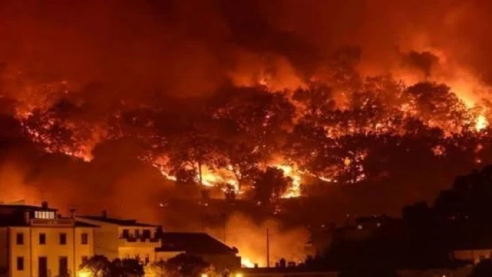 لاجئ سوري يتبرع بمائة مليون ليرة للدفاع المدني