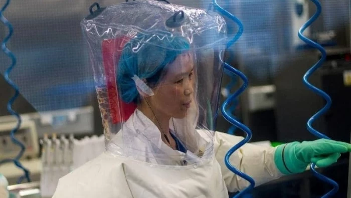 "المرأة الخفاش" في الصين تحذر من ظهور فيروسات جديدة