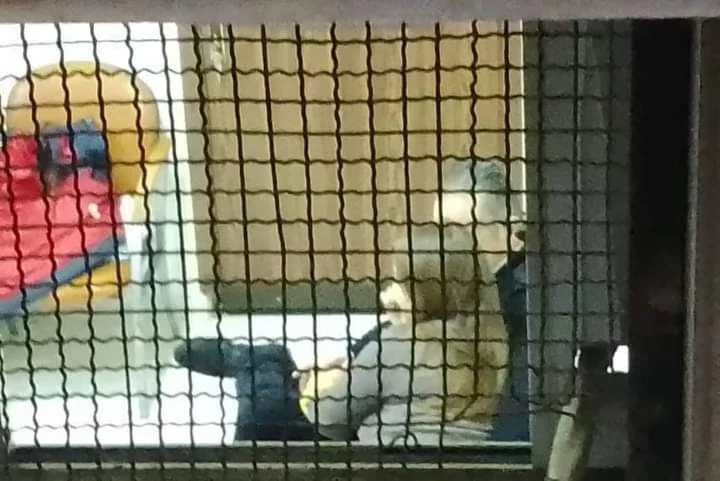 عناق وقبلات ساخنة في العمل.. مسؤول رياضي سوري يحال للتحقيق (صور)