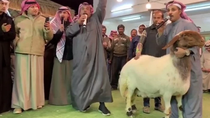 الكويت.. بيع نعجة في مزاد بثمن سيارة فيراري!