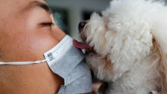 تسجيل أول حالة انتقال عدوى كورونا من الإنسان إلى الحيوان