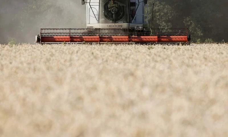 بريطانيا تخـصـص 3 ملايين جنيه لدعـم إمدادات القمح الأوكـ.ـراني إلى سوريا!